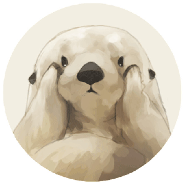 1526626800563156.jpg 3.jpg