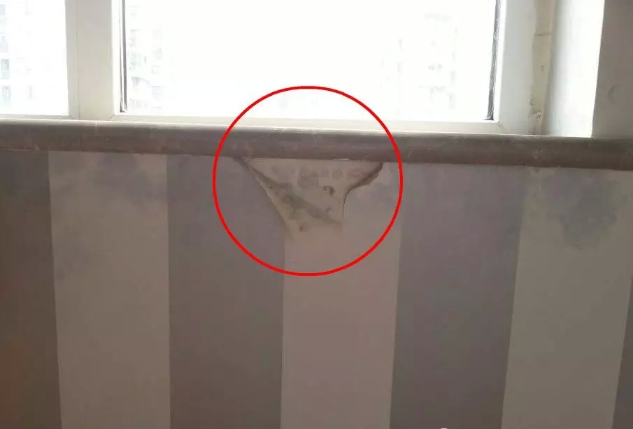 1541208319704795.jpg 微信圖片_20181103091939.jpg