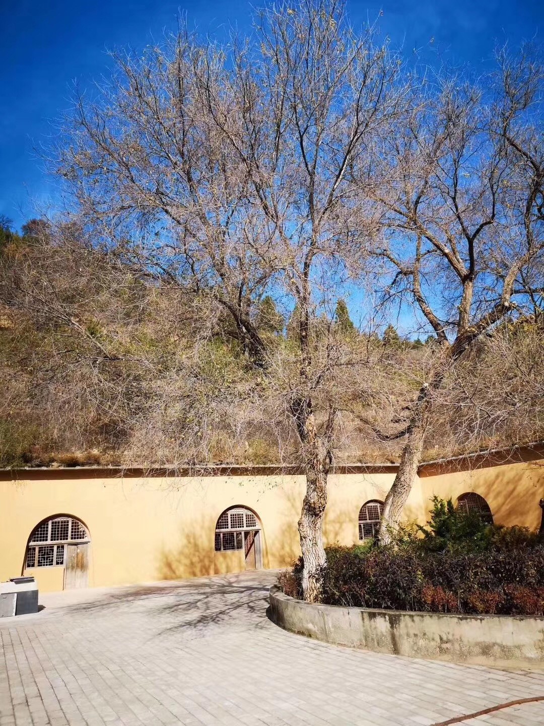 1541727743198525.jpg 微信圖片_20181109093113.jpg