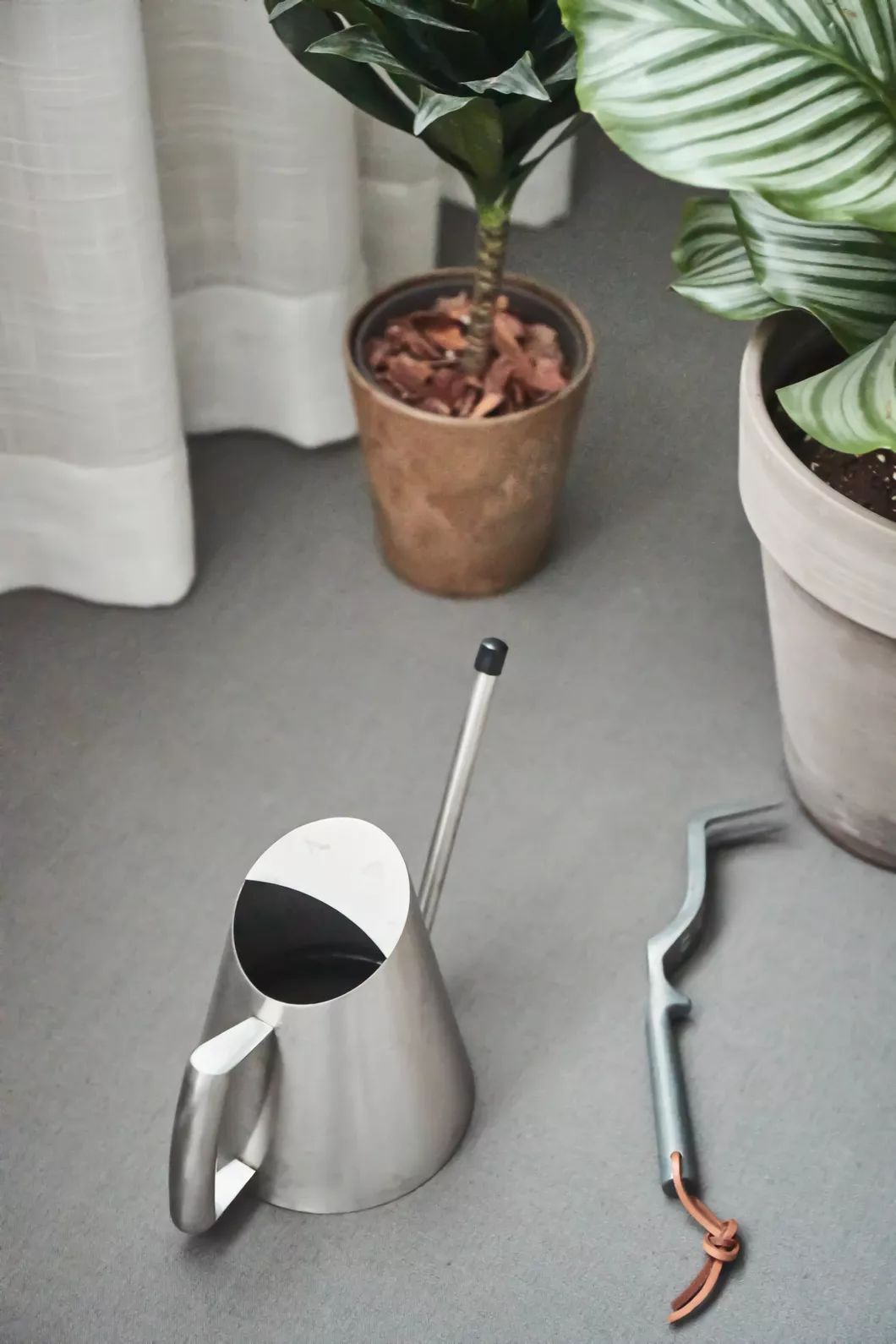 1552706856106935.jpg 1552706856106935.jpg