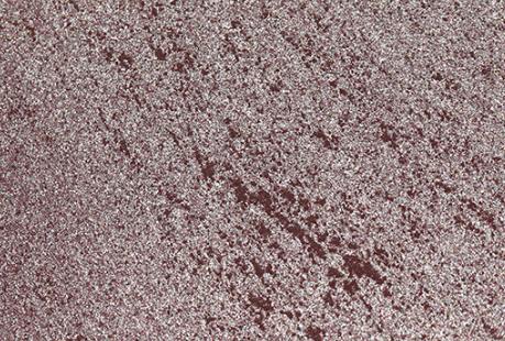 1575533236363723.jpg 掃沙 (3).jpg