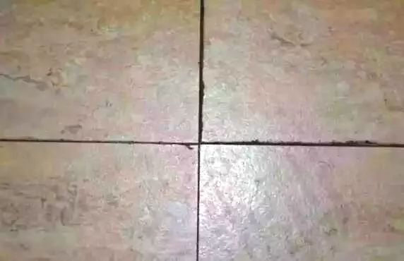 1576457666760799.jpg 微信圖片_20191216085301.jpg