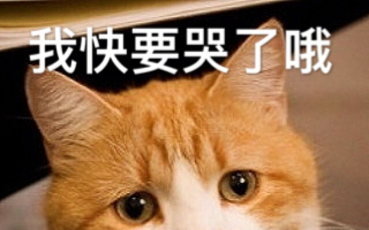 1576457713756176.jpg 1576457713756176.jpg