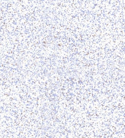 1591146459305896.jpg 1546585509(3)_看圖王.jpg