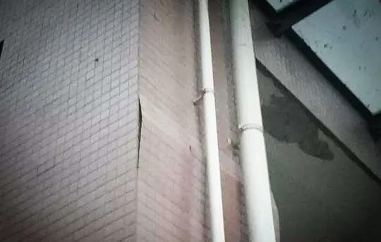 1595813359106007.jpg 微信圖片_20200727092739.jpg